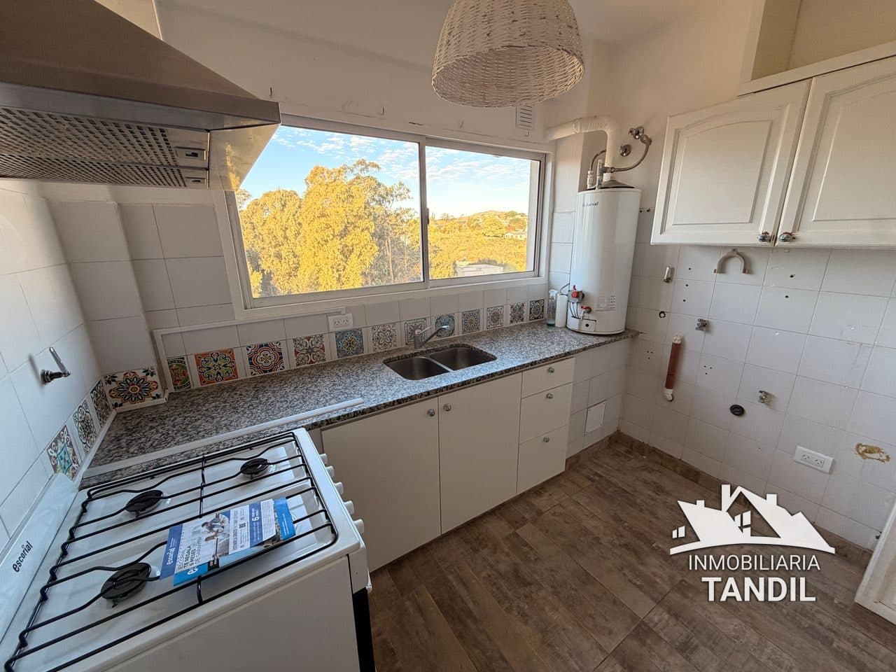 Fugl al 1300 — tandil (foto 4)