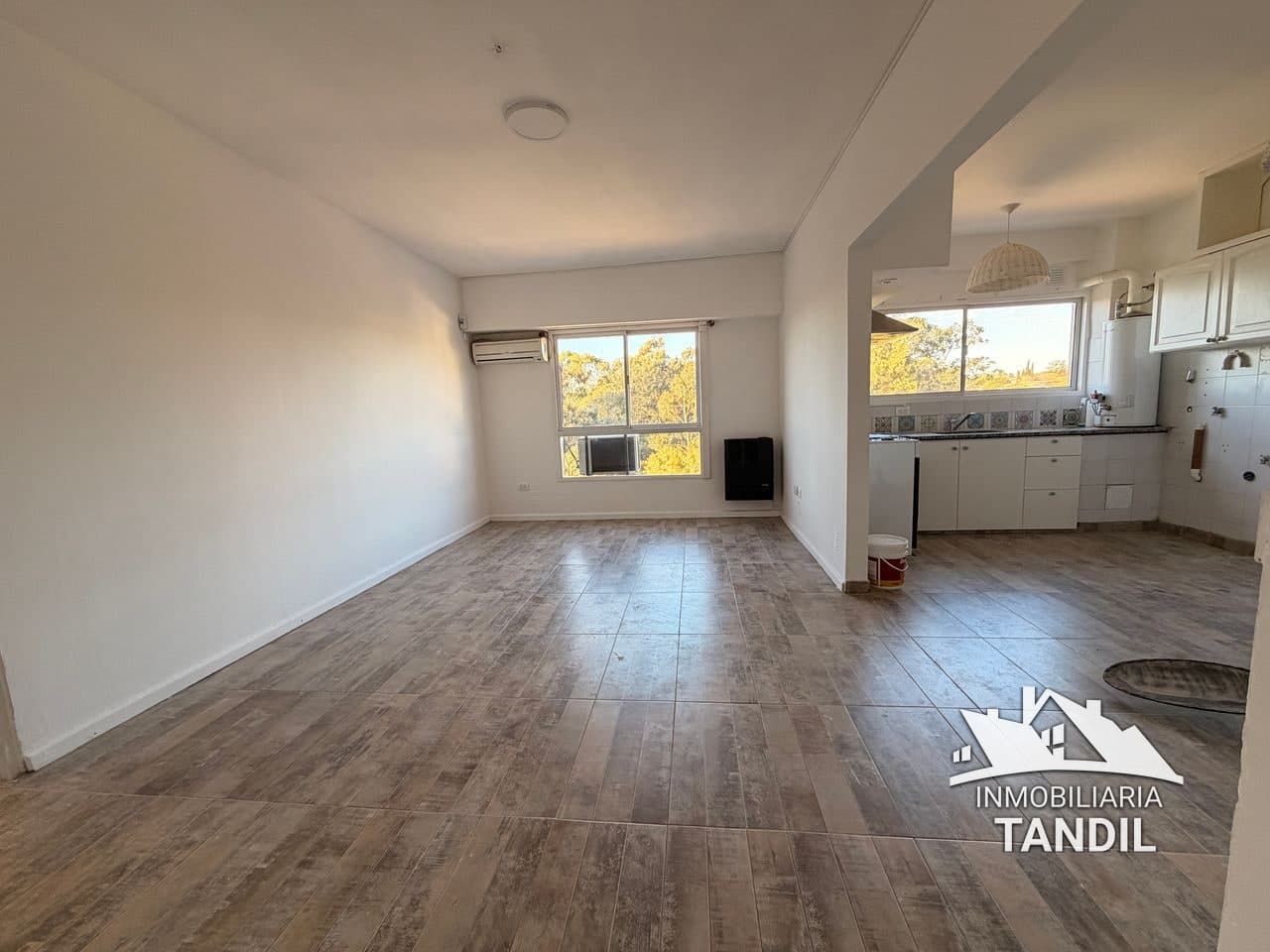 Fugl al 1300 — tandil (foto 2)