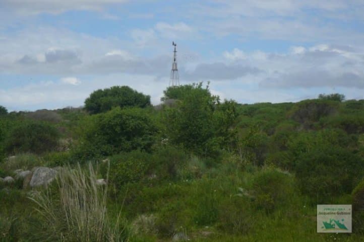 Lotes Cerro Centinela
