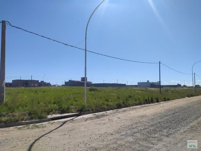 Chapaleofu y Cuba