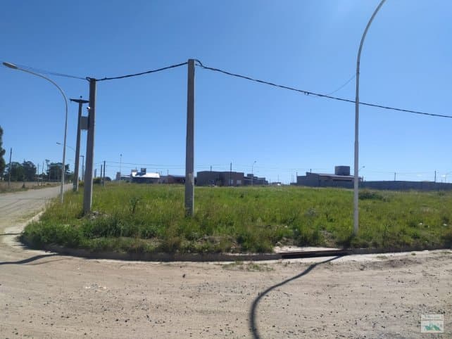 Chapaleofu y Cuba