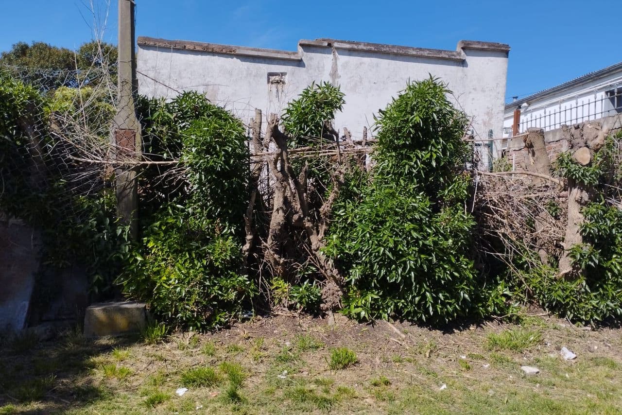 Tacuarí al 500