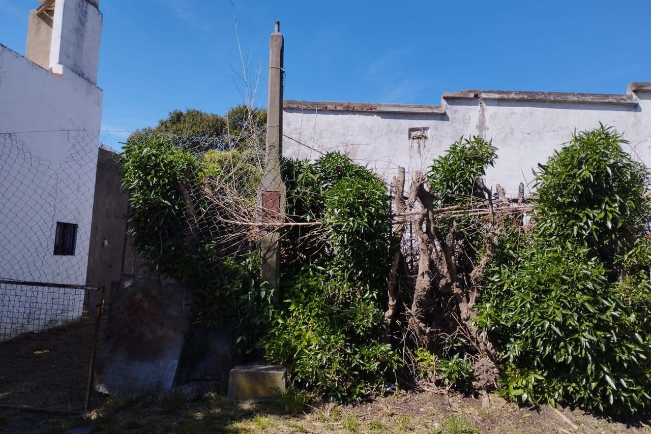 Tacuarí al 500
